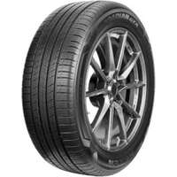 Roadian GTX 225/60-R18 100H