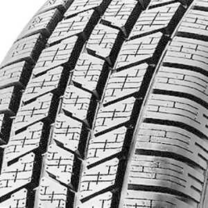  Scorpion Ice & Snow 255/50-R19 107H